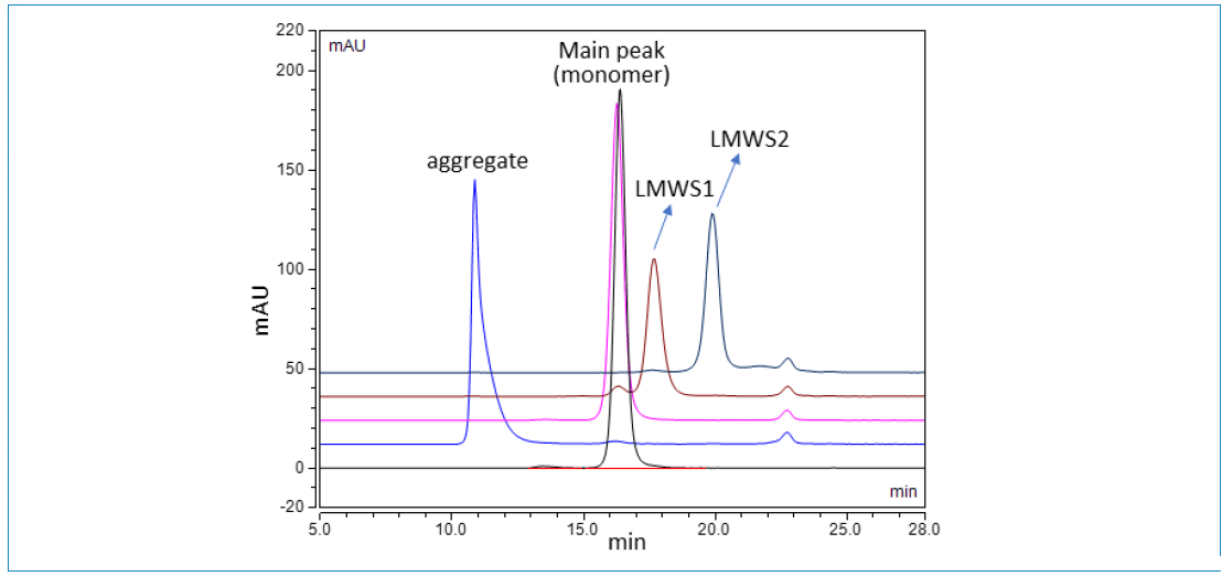 Figure 3: Overlaid SEC chromatograms of unfractionated mAb (black); and aggregate (blue), main peak (magenta), LMWS1 (maroon), and LMWS2 (dark blue) fractions collected from the stressed (65 °C for 7 days) mAb product.